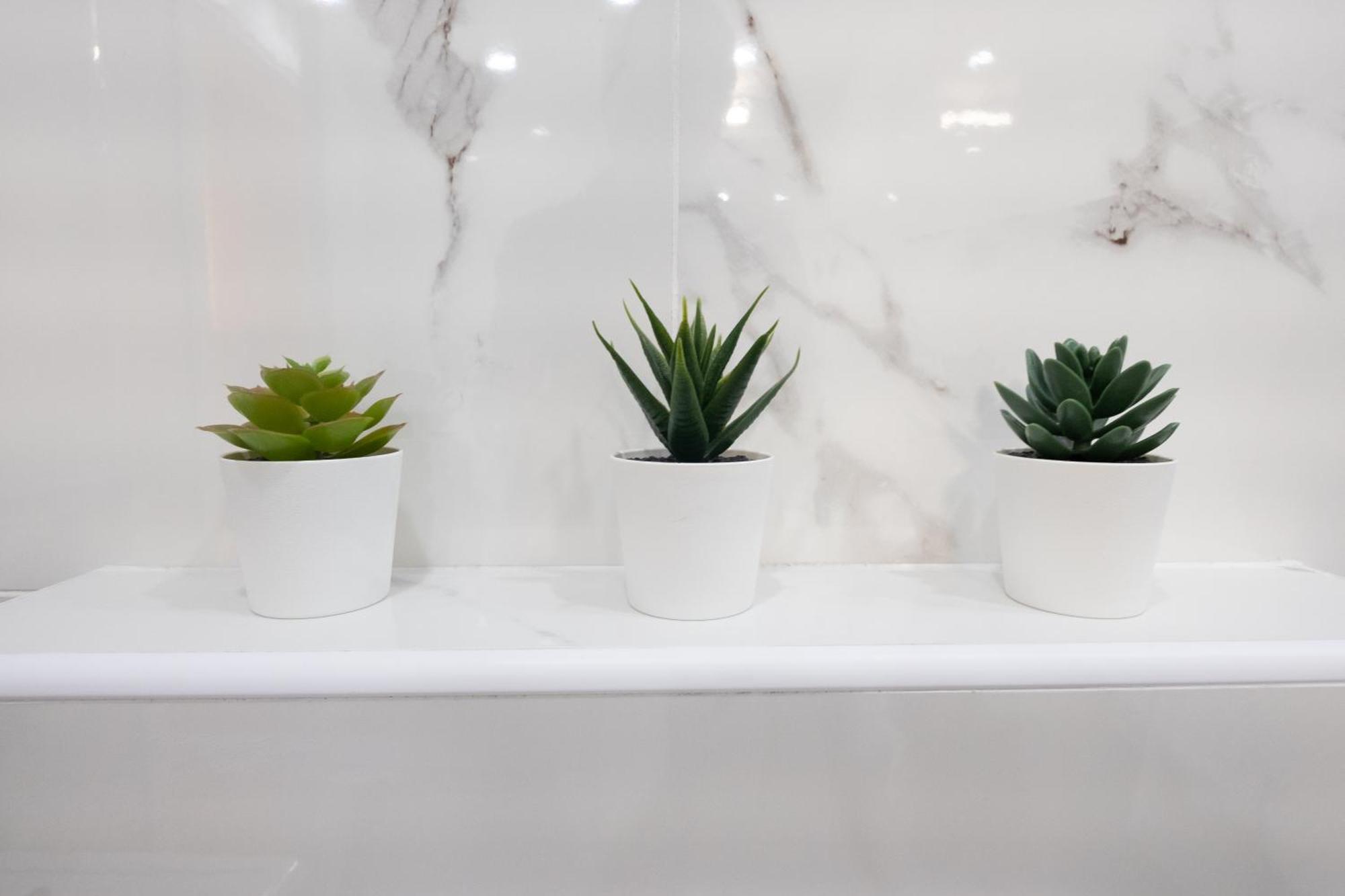 Apartments Mila クレノヴィツァ 部屋 写真